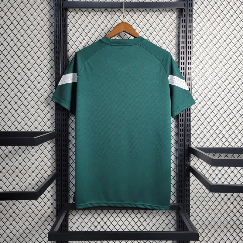 Camisa Oficial do Palmeiras - 23/24 - Versão Torcedor - Personalizável